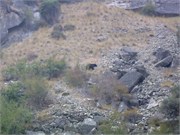 31803_Middle Fork